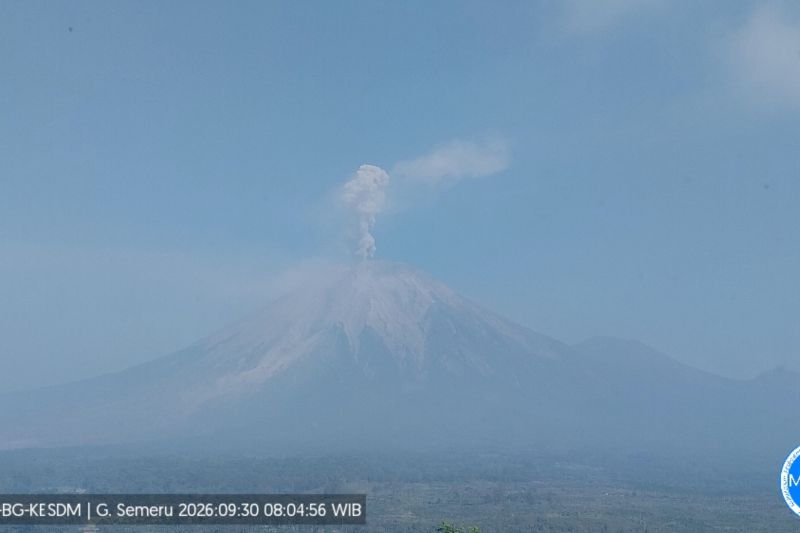 Gunung Semeru tujuh kali erupsi dengan tinggi letusan hingga 1 km