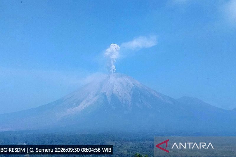 Gunung Semeru tujuh kali erupsi dengan tinggi letusan hingga 1 km