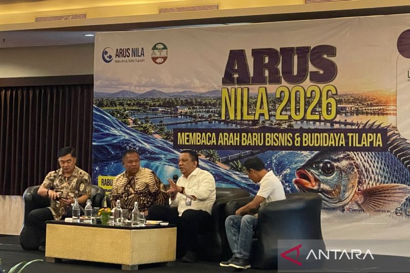 kkp-mengembangkan-induk-unggul-dukung-budi-daya-ikan-nila