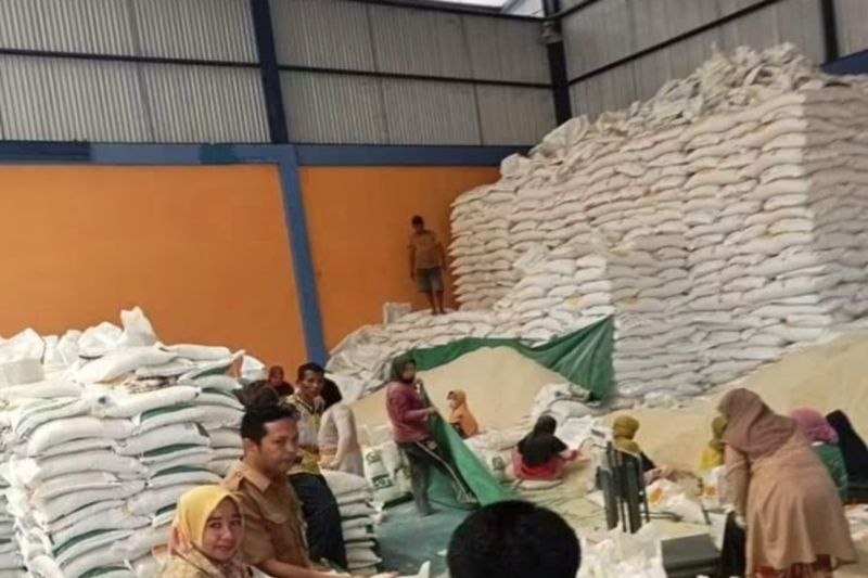 Cadangan beras Bima turun dari 13,4 ton menjadi 6 ton akibat efisiensi