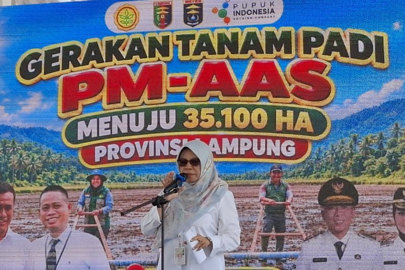 kementan-september-maksimalkan-tanam-padi-jaga-stok-beras