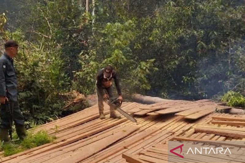Kemenhut musnahkan 316 batang kayu dan rel di TN Berbak dan Sembilang