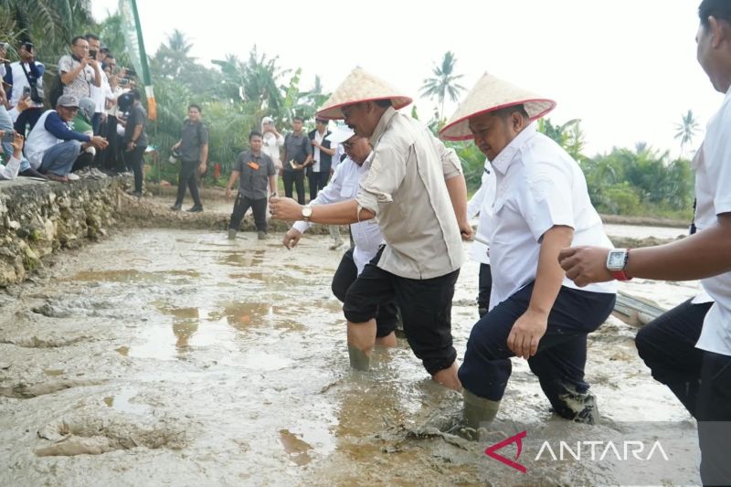 pemerintah-pusat-wujudkan-swasembada-pangan-dan-air-melalui-pm-aas