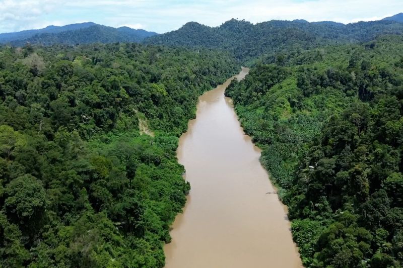 Aceh manfaatkan Rp27 miliar dana hibah perkuat tata kelola hutan