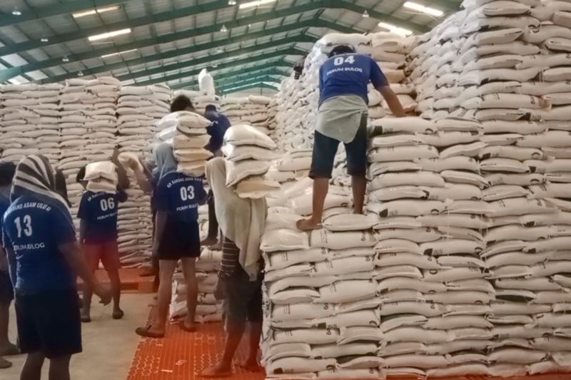 Kaltim pasok beras dari Sulsel dan Jatim di tengah kekeringan