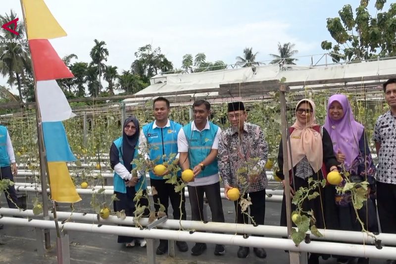 Mendorong Gen Z menjadi petani urban lewat elektrifikasi pertanian