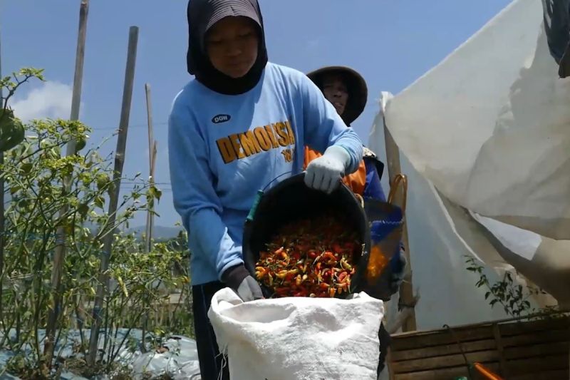 Agrinas dorong KDKMP dukung pengembangan KSPP di Temanggung