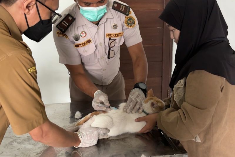 Vaksinasi anjing dan kucing gratis, menuju Indonesia Zero Rabies 2030