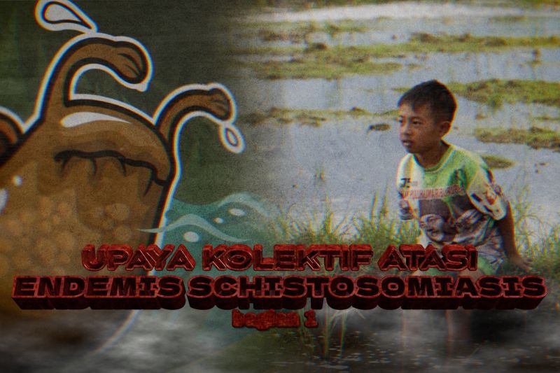 Upaya kolektif atasi endemis schistosomiasis (bagian 1)