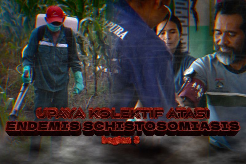 Upaya kolektif atasi endemis schistosomiasis (bagian 3)