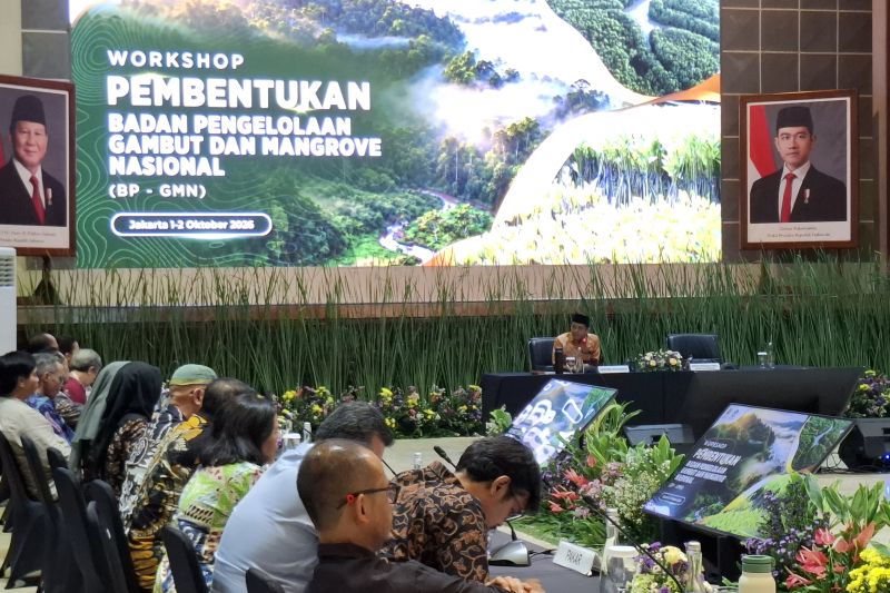 Menhut usulkan badan pengelola gambut dan mangrove miliki DIPA sendiri