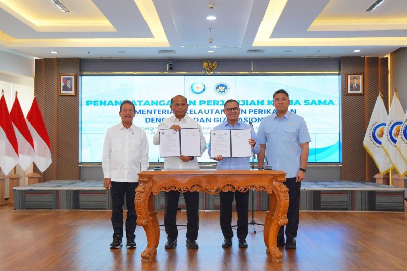 BGN siap serap ikan untuk menu MBG