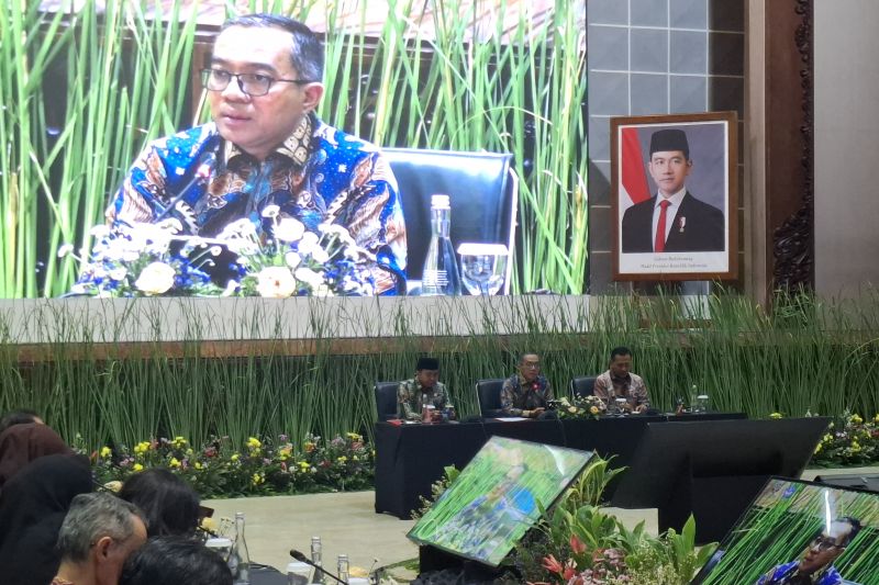 mendiktisaintek-usulkan-kkn-tematik-kelola-gambut-di-enam-provinsi