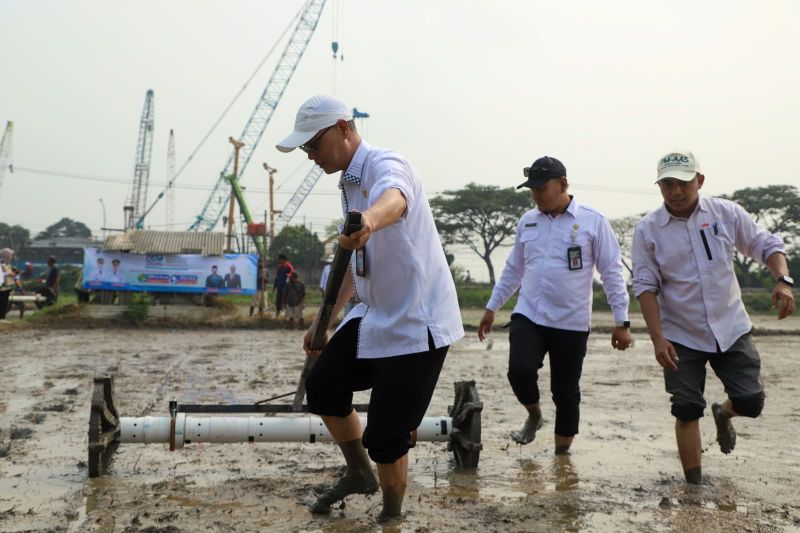dkpp-serang-terapkan-pertanian-modern-di-lahan-500-hektare