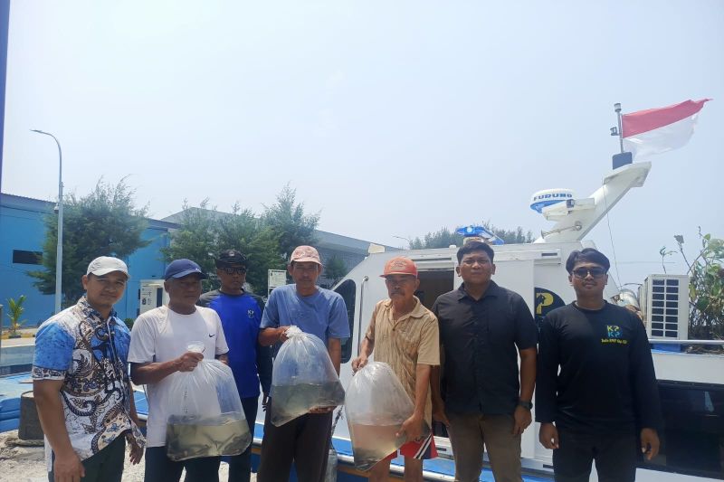 Kepulauan Seribu salurkan 4.100 benih lele dan nila ke lima pulau