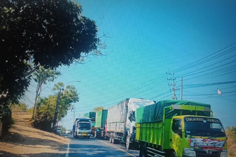 pengamat-kemacetan-di-ketapang-diduga-akibat-maraknya-truk-odol