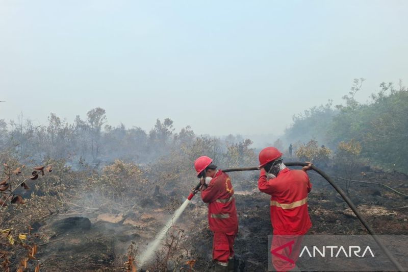 Manggala Agni masih lakukan pemadaman karhutla di Gelumbang