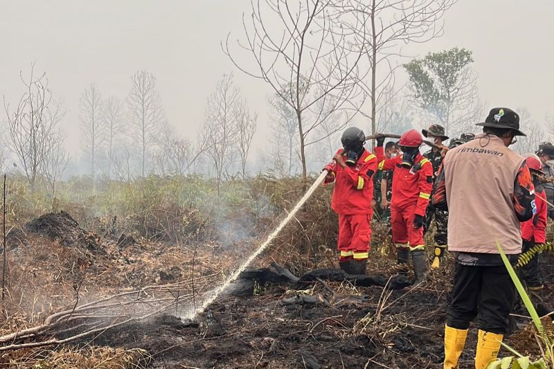 BPBD Kalbar masih fokus tangani karhutla di Ketapang dan Kayong