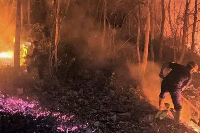 Anggota DPR minta perkuat layanan kesehatan hadapi dampak karhutla
