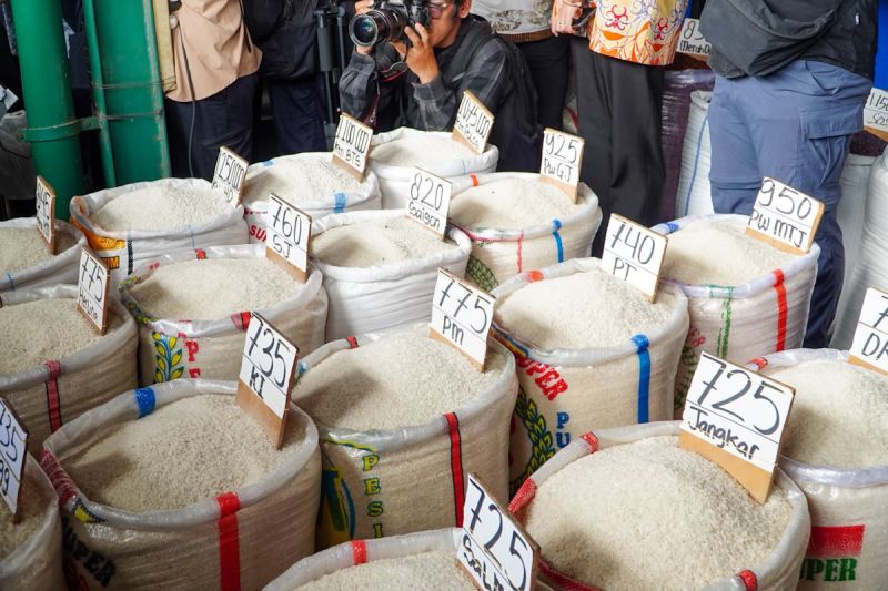 legislator-dorong-stabilisasi-beras-jaga-harga-di-petani-dan-konsumen