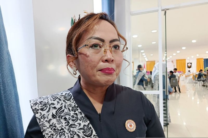 IBI pastikan 206 bidan bantu layanan reproduksi perempuan Jayawijaya