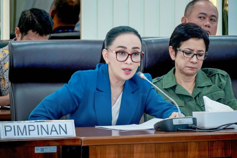 Anggota DPR: TNI di usia ke-81 harus punya kekuatan relevan