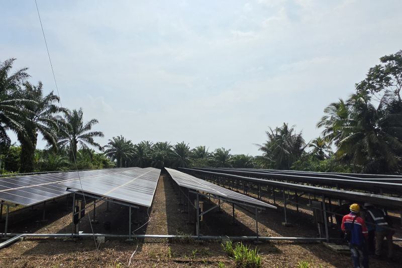 pln-perluas-energi-bersih-melalui-plts-sebatik-150-kwp