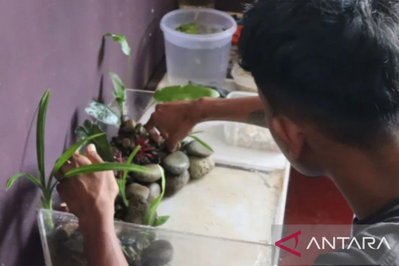 Lapas Ambon latih WBP membuat seni tata taman air