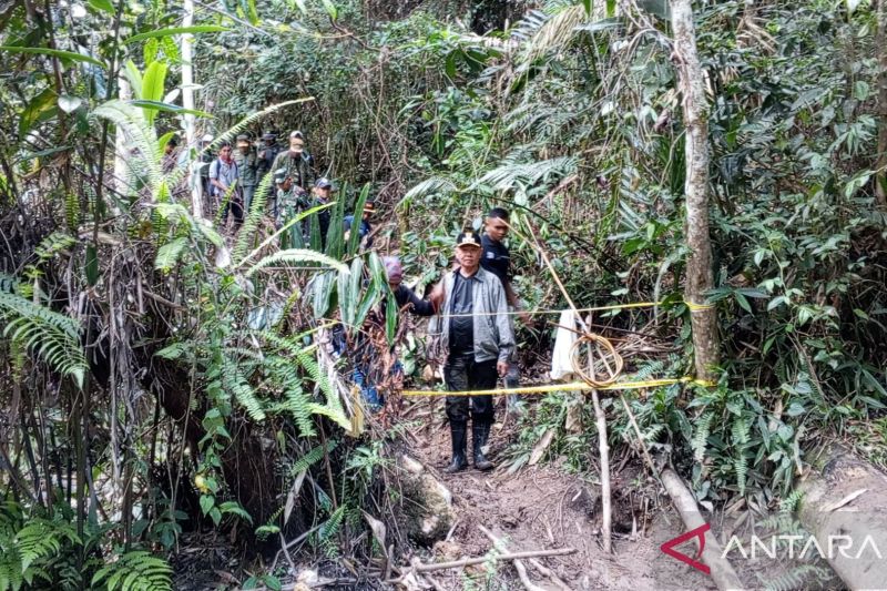 PETI Kangkuro dua kali ditutup, Bupati Sigi minta tindakan tegas