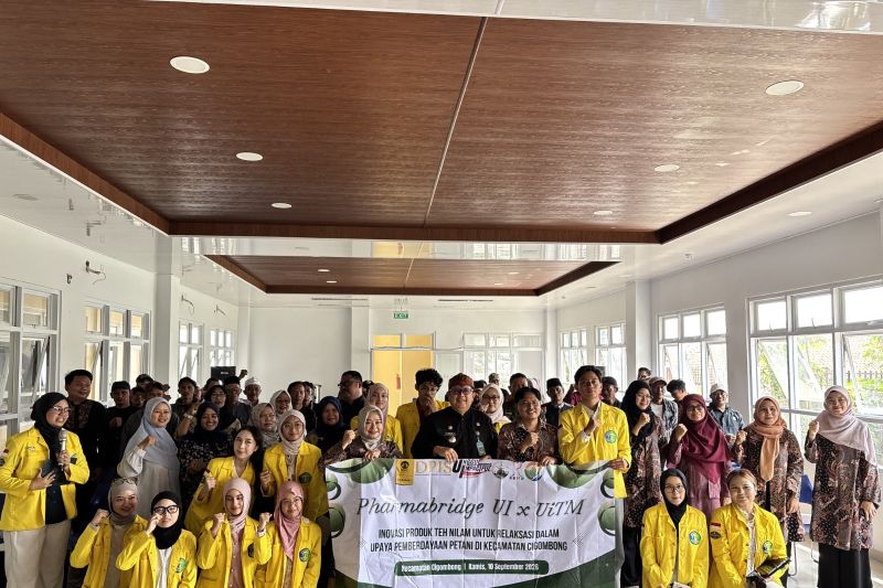 UI dan UiTM Malaysia berdayakan petani Cigombong Bogor lewat inovasi teh nilam