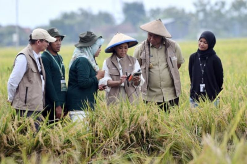 Menkomdigi ungkap peran IoT bangun ketahanan pangan di desa