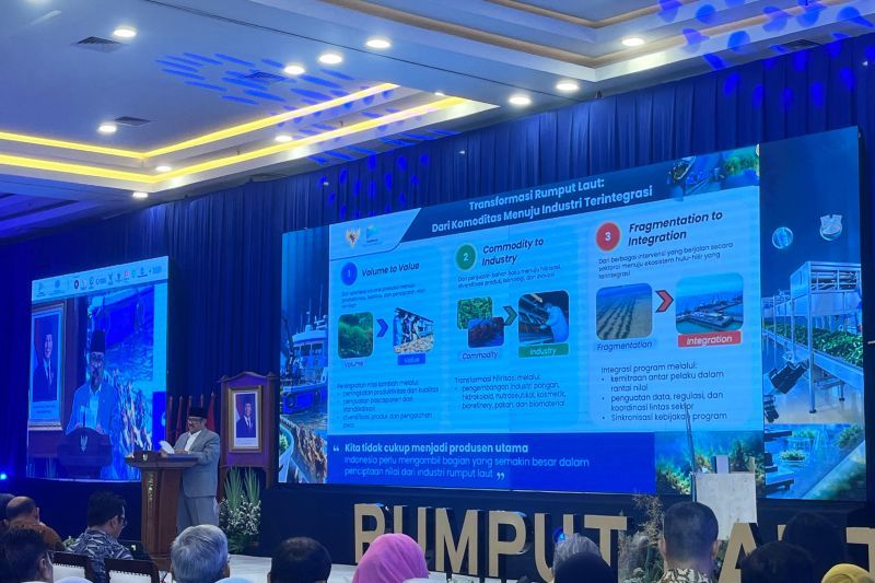 bappenas-rumput-laut-adalah-basis-industrialisasi-yang-berkelanjutan