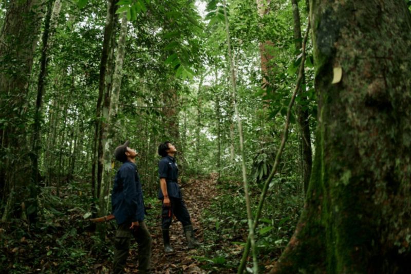 wamenhut-transformasi-ekonomi-kehutanan-penting-bagi-kesejahteraan