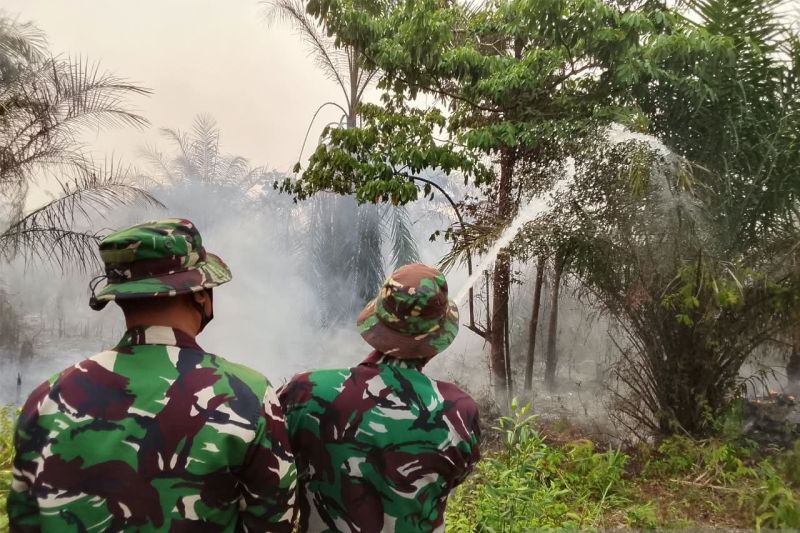 Personel TNI AU dikerahkan untuk tangani karhutla di Sumsel