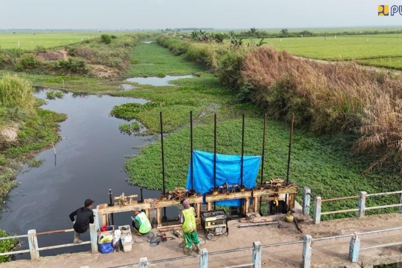 kementerian-pu-selamatkan-sawah-di-lampung-dari-intrusi-air-laut