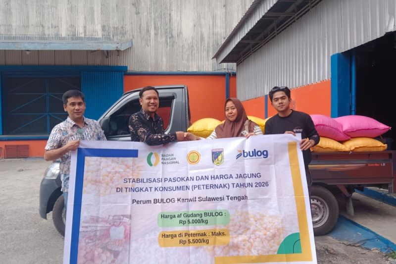 BULOG Terus Percepat Penyaluran SPHP Jagung Pakan, Pastikan Stok Nasional Mencukupi 