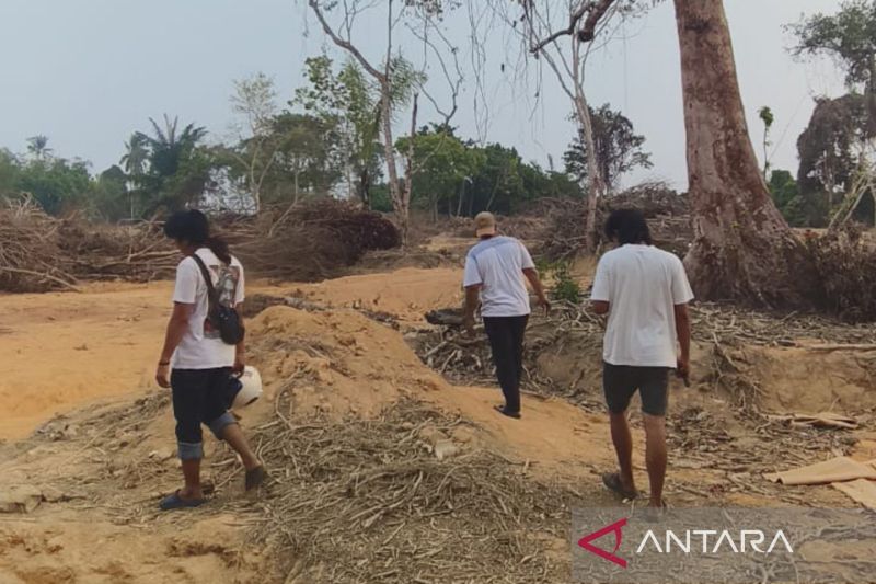 Polres Bangka Barat pantau Hutan Lindung Berhala cegah tambang ilegal