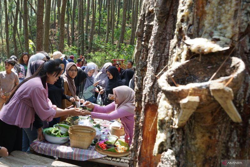 pasar-jadul-pangupo-jiwo-lereng-wilis-diserbu-pengunjung