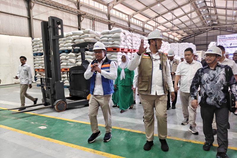 dirut-bulog-pastikan-cadangan-beras-aman-di-tengah-ancaman-el-nino