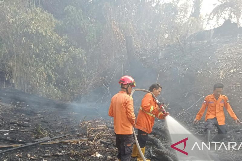Karhutla hanguskan satu rumah warga di Desa Karang Jaya Muara Enim