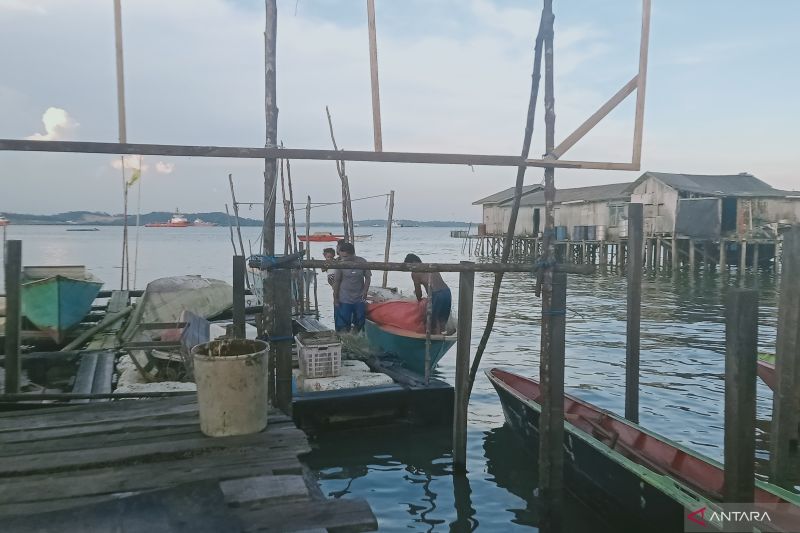 penajam-tawarkan-pengolahan-ikan-kepada-investor-bangun-hilirisasi