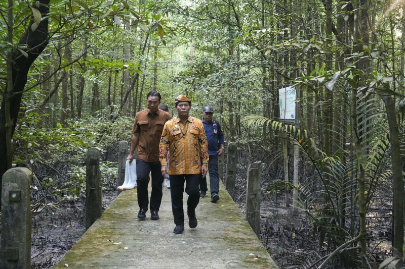 kaltara-jaga-kelestarian-mangrove-melalui-kolaborasi-lintas-sektor