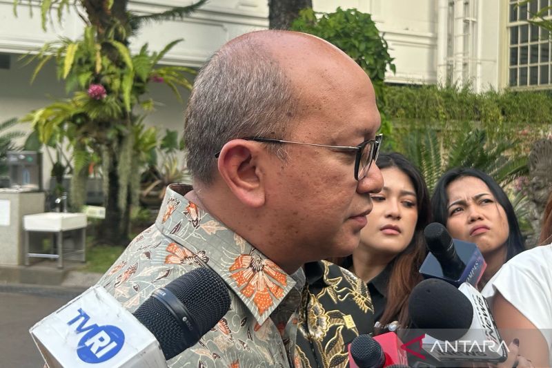 Rosan: Prabowo minta transformasi PLN dipercepat