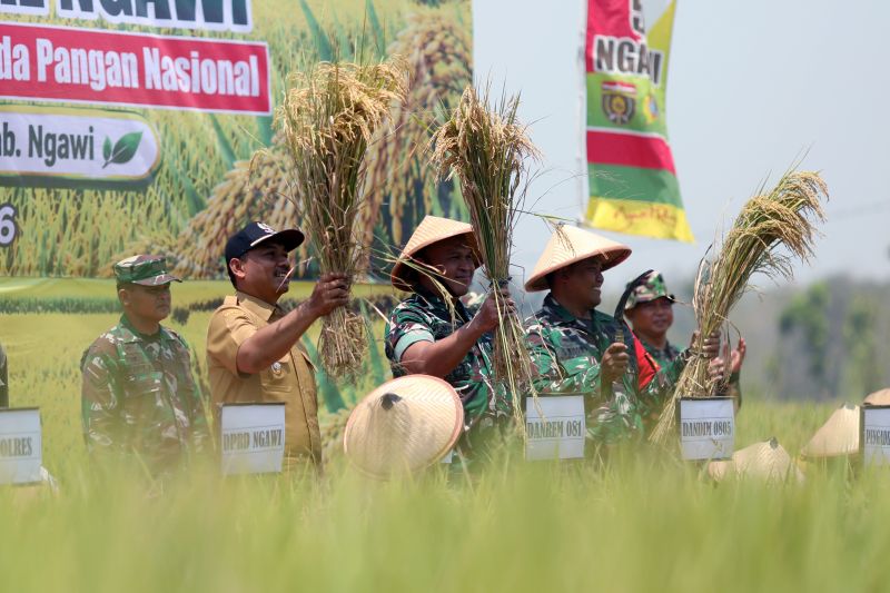 pemkab-ngawi-dorong-percepatan-sertifikasi-benih-padi-unggul-lokal
