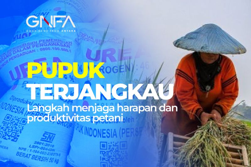 Menjaga produktivitas petani melalui stabilisasi harga pupuk