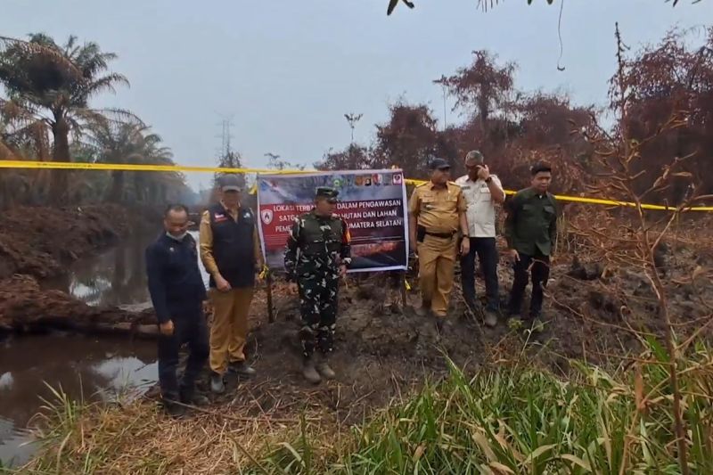 Satgas Karhutla Sumsel segel lahan PT Swadaya Indoplasma di Banyuasin