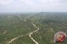 Penertiban kawasan hutan perlu selaras dengan kepastian hukum HGU