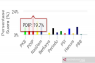 Situng KPU : PDIP sementara perolehan 19,7 persen suara
