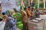 Enam komodo Taman Safari Bogor bakal dilepasliarkan di cagar alam NTT