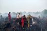 4 hektare lahan gambut di Kampar terbakar